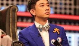 娱乐圈爆料家暴男星是谁,家暴男星身份揭晓，真相令人震惊